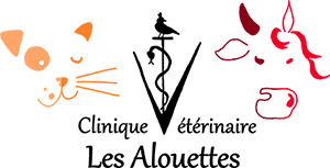 Clinique vétérinaire Montceau-les-Mines Logo